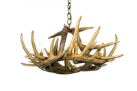 Whitetail Deer 6 Antler Chandelier - Ozark Cabin Décor, LLC