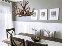 Whitetail Deer 9 Antler Cascade Chandelier - Ozark Cabin Décor, LLC