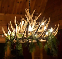 Whitetail Deer 21 Antler Chandelier - Ozark Cabin Décor, LLC