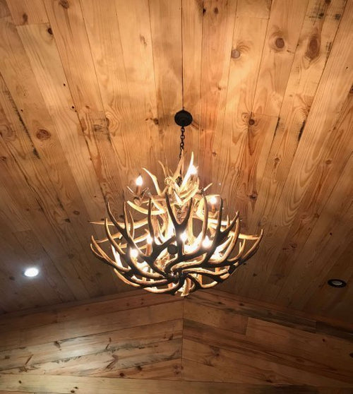 Mule Deer 20 Antler Chandelier - Ozark Cabin Décor, LLC